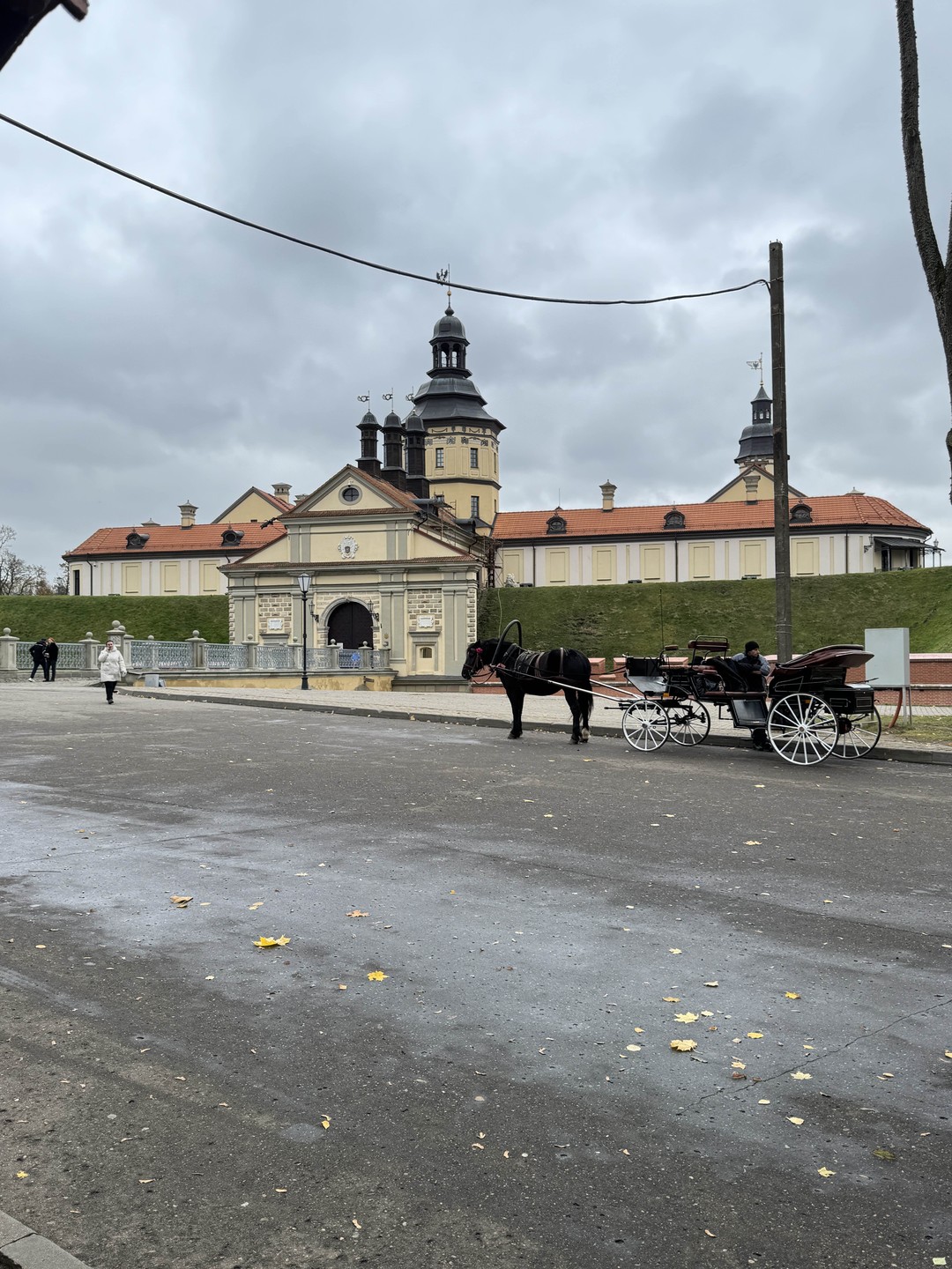 Групповая экскурсия в замки Мир и Несвиж (обед включен) (Ефимова)