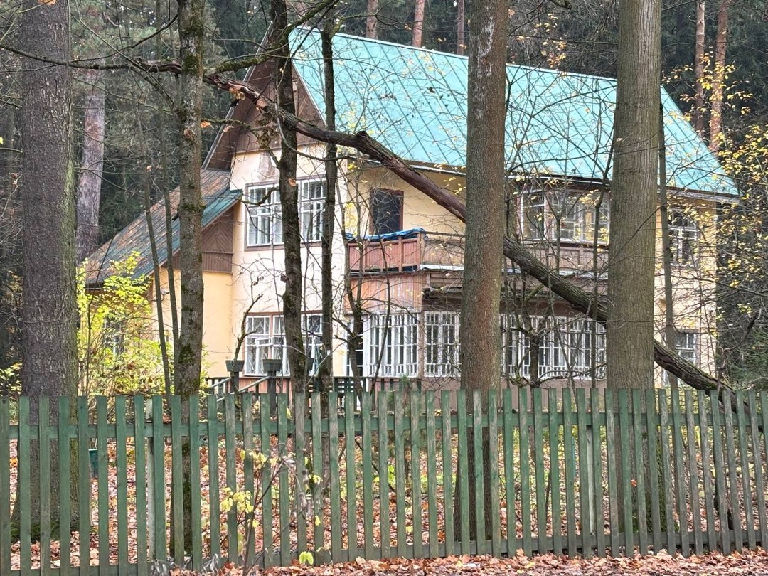 Переделкино с местным жителем и членом Союза писателей (Олег)