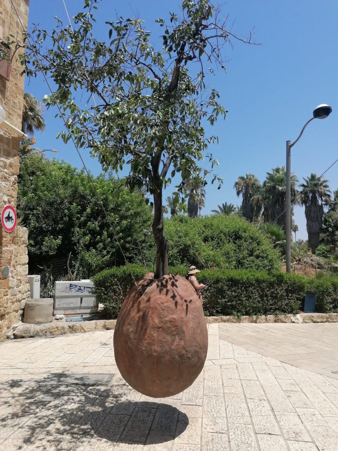 Яффо - шкатулка с секретами (Ирина)