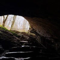 Фото отзыва 2: экскурсия "Кругосветка по Сочи: пещера, каньон и чайные плантации"