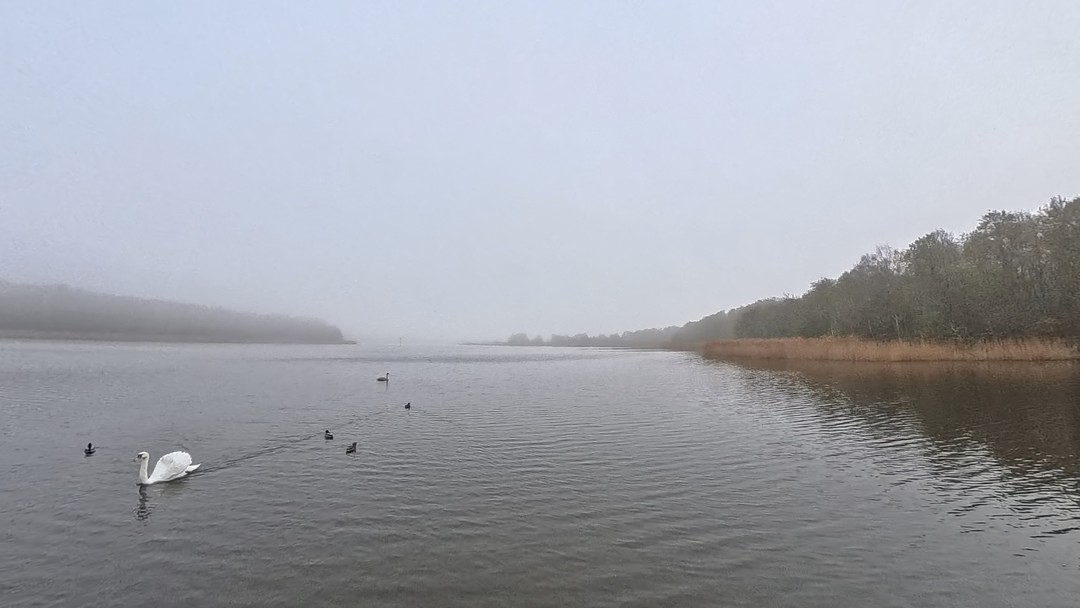 Экскурсия очень понравилась, хоть и погода не благоволила своей ясностью