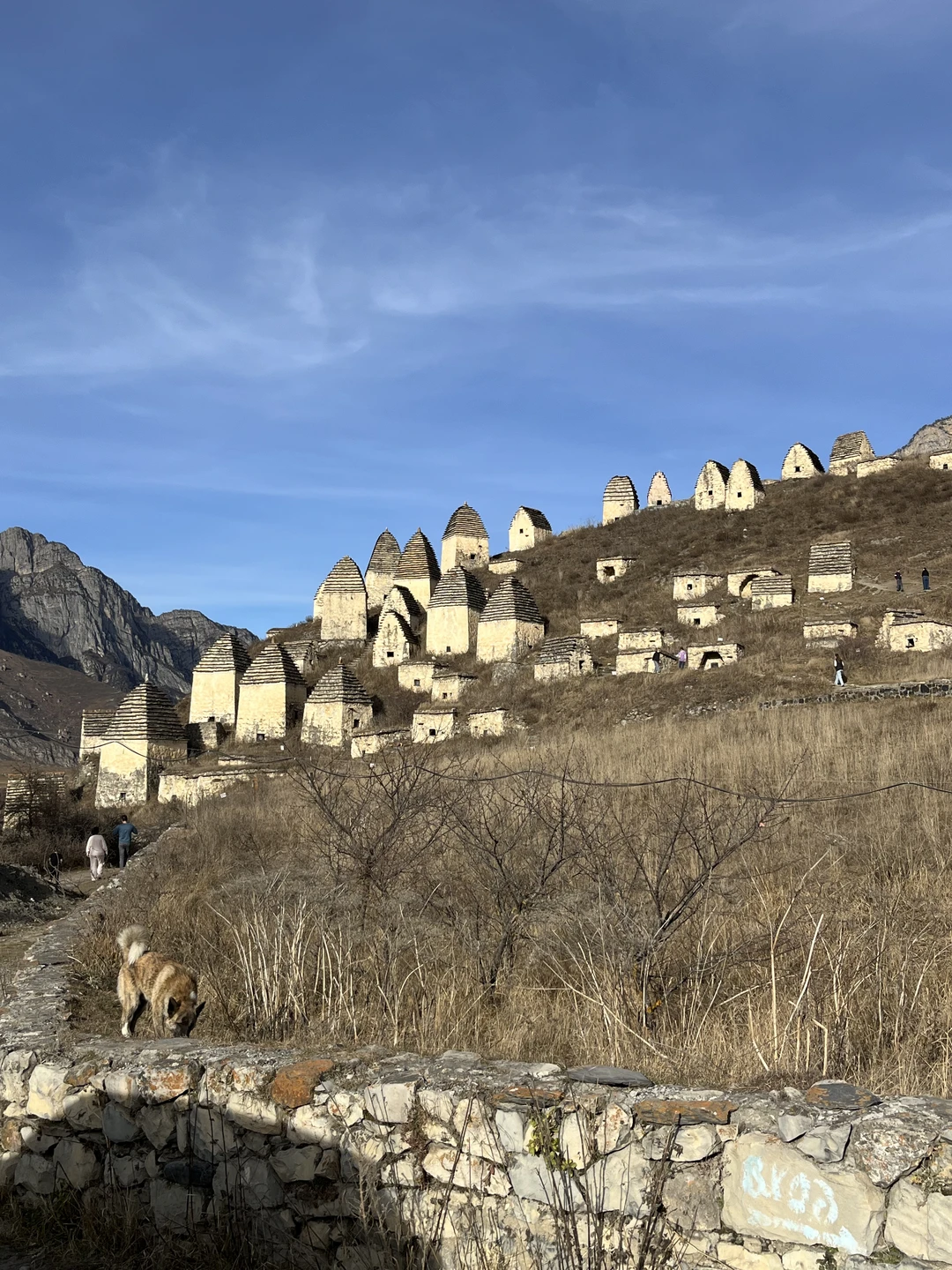 Гид - классный, маршрут - красивый. Экскурсия вышла очень теплой, интересной и душевной. Исторические факты и