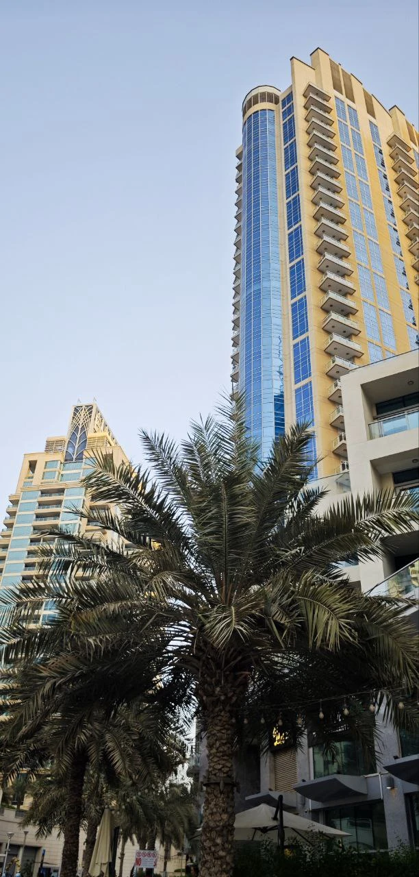 Наша семья хочет выразить благодарность организаторам за незабываемую обзорную экскурсию по мировому мегаполису – Дубаю. Этот