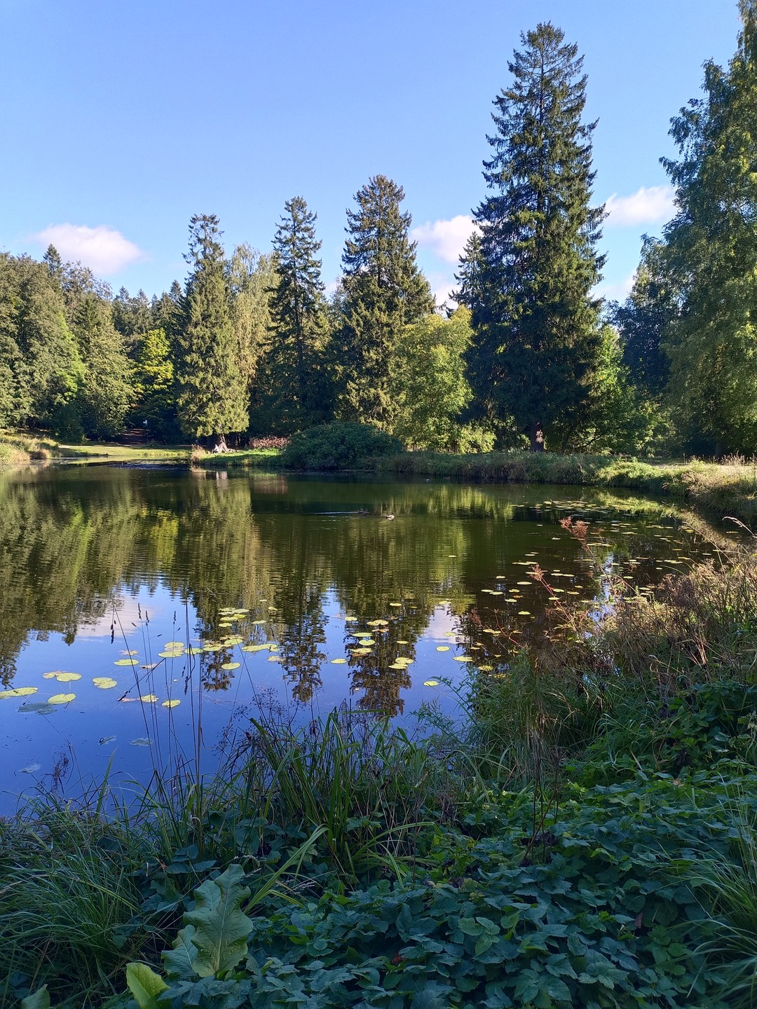 Мария, спасибо Вам за чудесный день и новые впечатления! Как будто побывала в сказке!