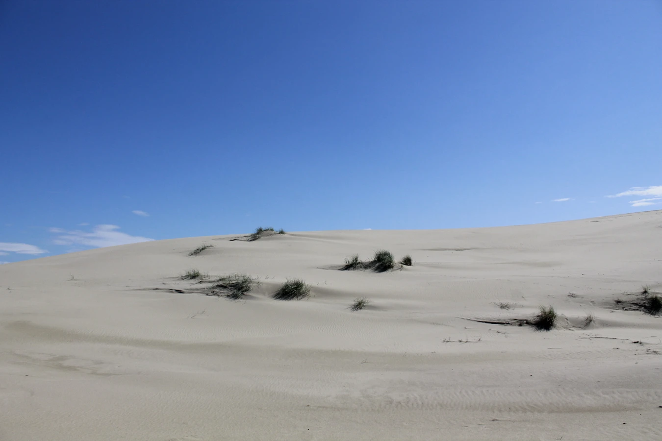 Куршская коса + Зеленоградск, Светлогорск и Янтарный