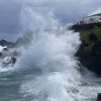 Фото отзыва 2: экскурсия "Западная часть острова Мадейра"