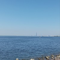 reviews img
