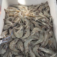 Фото отзыва 2: авторский тур "От рыбацкого посёлка до туристического курорта: обзорная экскурсия по Хургаде"