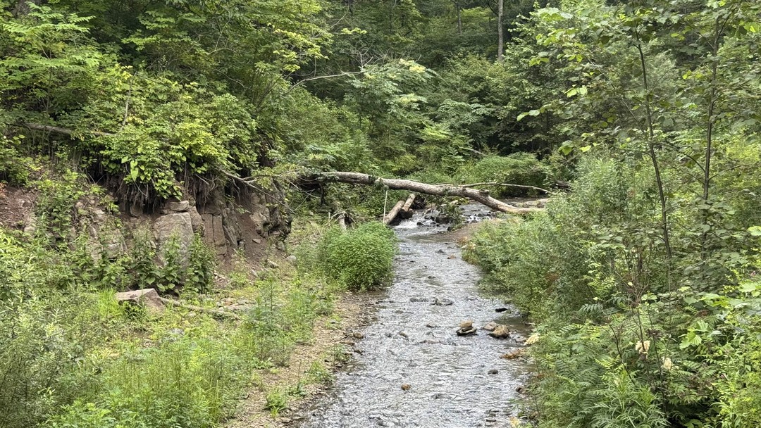 Благодарим гида Алену за превосходную экскурсию!