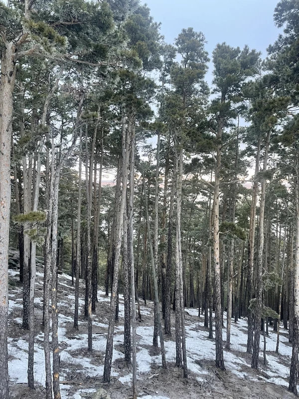 Боровое: зелёное сердце Казахстана