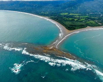 Наблюдение за китами и дельфинами