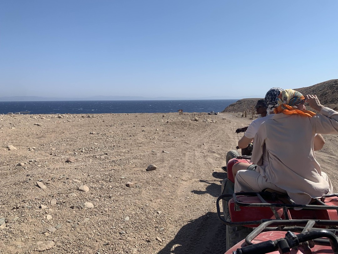 Экскурсия была в день моего рождения. Буря ярких эмоций. Мы и плавали, и шли на верблюдах