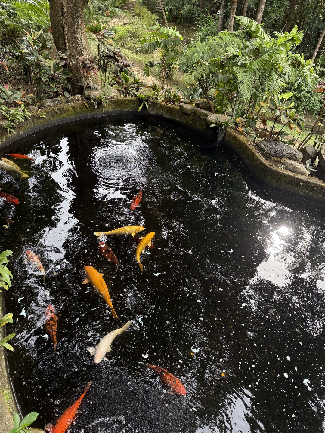Евгению огромное спасибо, всё чётко организовано. Ездили на экскурсию по острову Лусон, всё что заявлено в