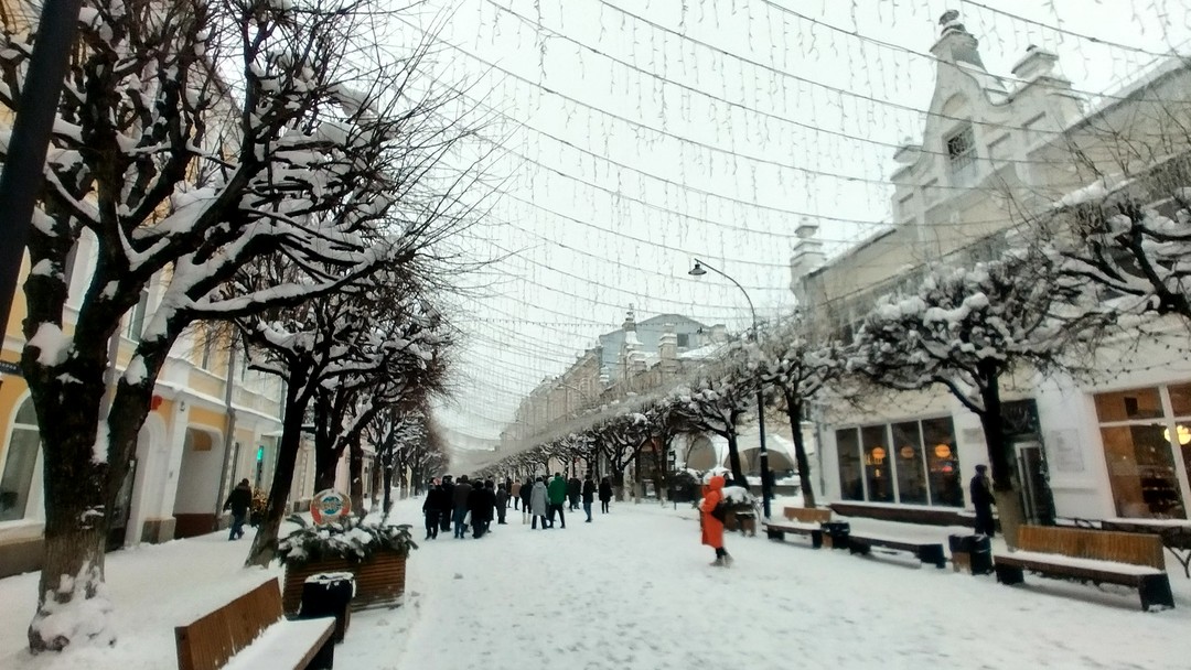 Отличная экскурсия! Погода конечно была морозной и снежной, но Михаил устраивал нам небольшие "прогрева", не останавливая