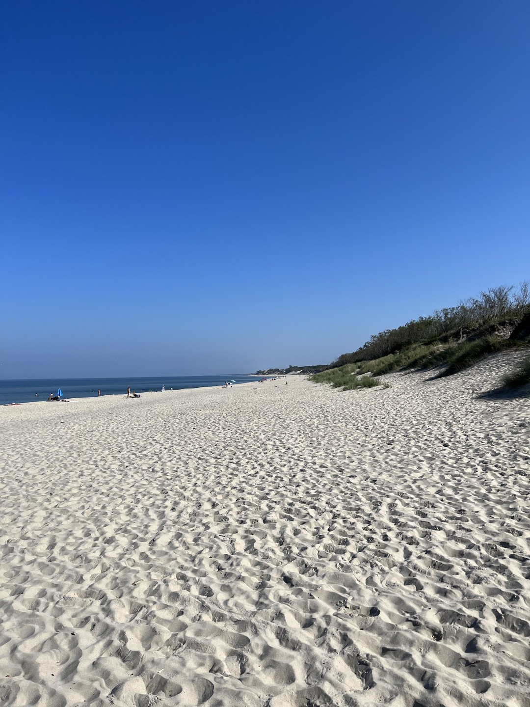 На Куршскую косу с опытным гидом - из Калининграда (Екатерина)