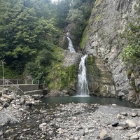 Фото отзыва 2: экскурсия "Из Сочи — на экоферму, винодельни и чайные плантации"