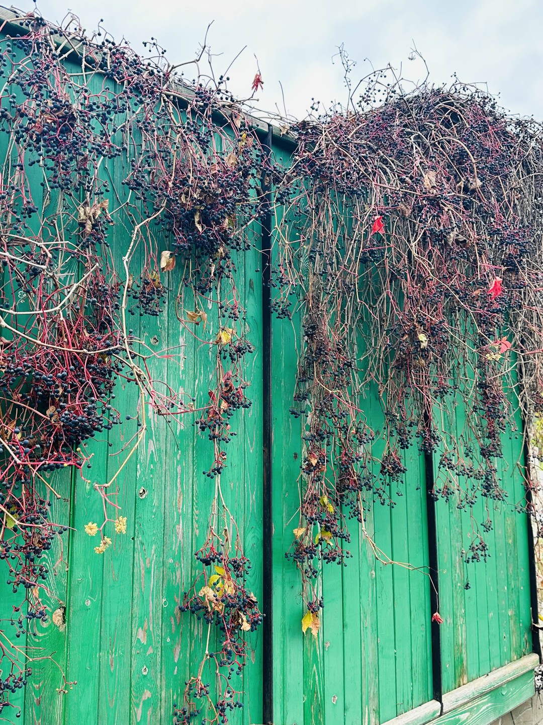 Второй раз обращаюсь к этому экскурсоводу и второй раз 10 из 10:) настоятельно рекомендую!!!