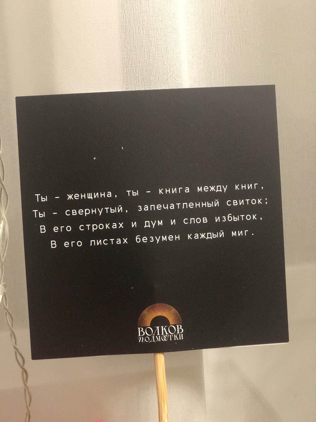 Фото отзыва 1: экскурсия "Двери открываются: театр в трамвае"