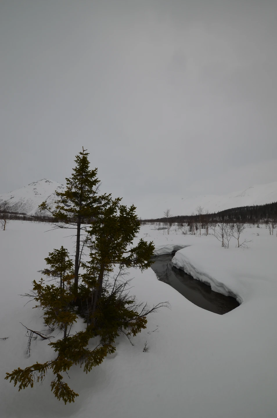 Просто замечательная экскурсия. Мы были с сыном и оба в восторге от всего. Глеб ну оооочень
