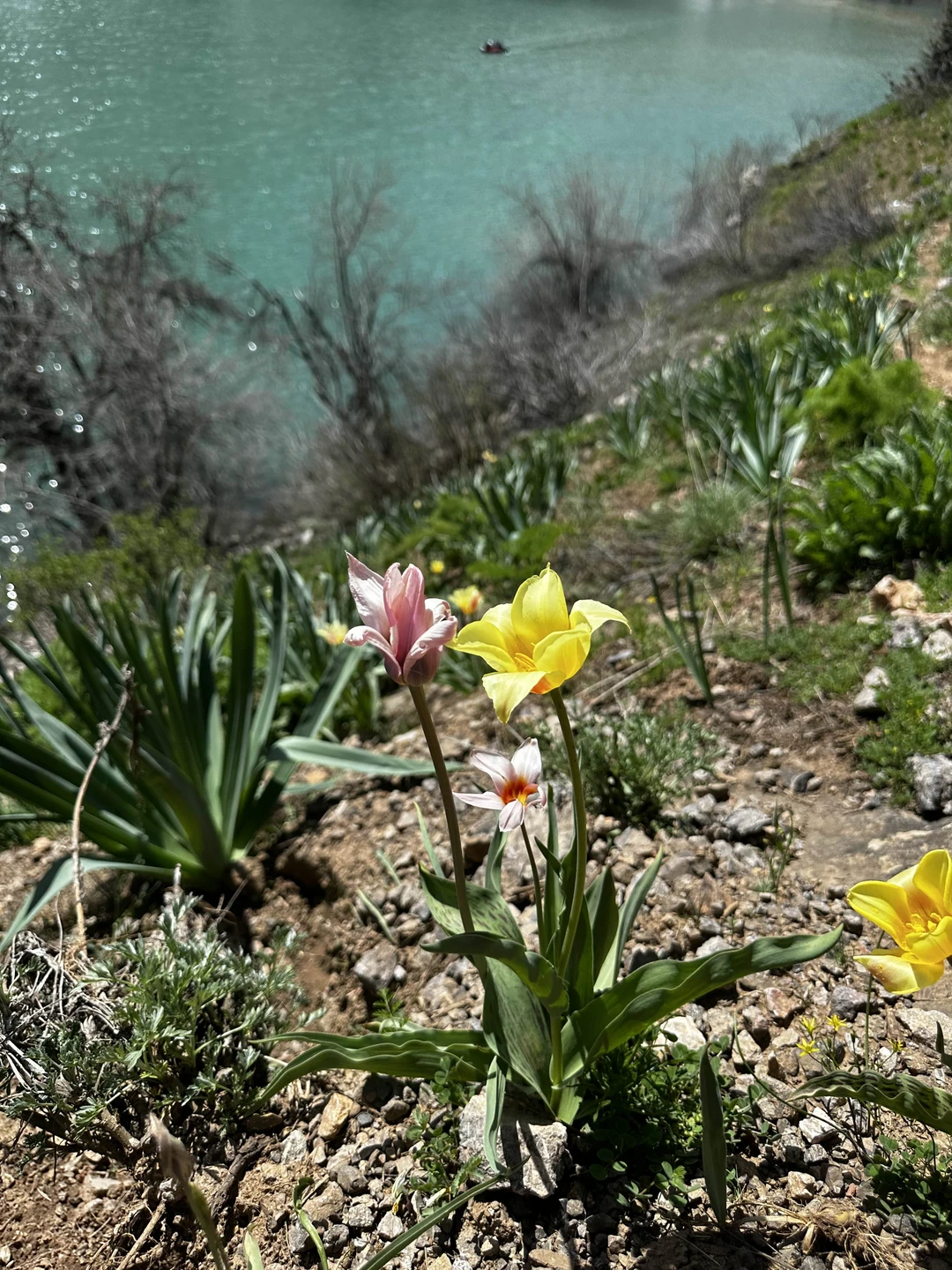 Эта экскурсия была последней в нашем отпуске и стала настоящей жемчужиной впечатлений. Понравилось все. В первую