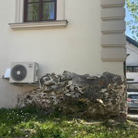 Фото отзыва 1: экскурсия "Прогулка по древней Эмоне с её богатым жителем"