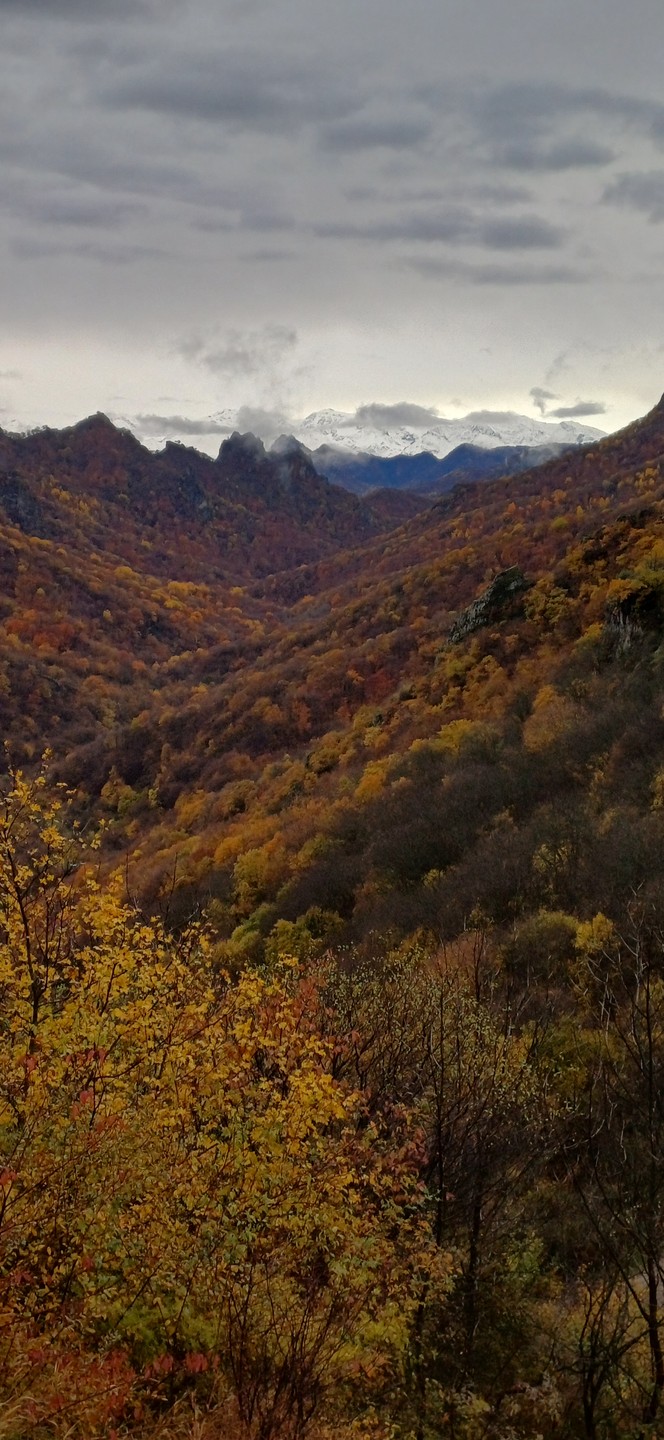 Сердце гор: из Пятигорска - в Домбай (Наталья)