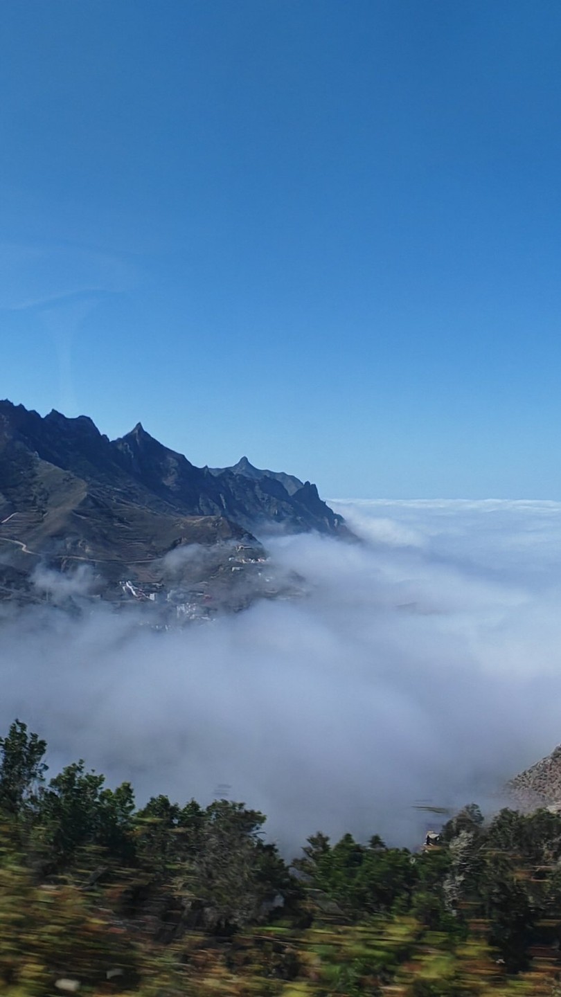 Экскурсия очень понравилась, узнали много нового о Тенерифе, посетили интересные места, такие как лес лавровых деревьев