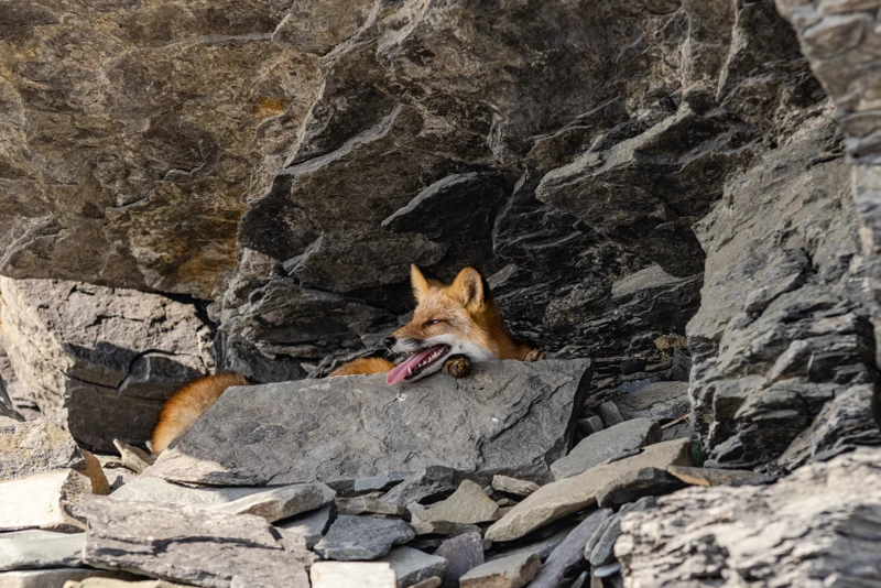 Индивидуально вдоль кромки океана: Владивосток и юг Приморья