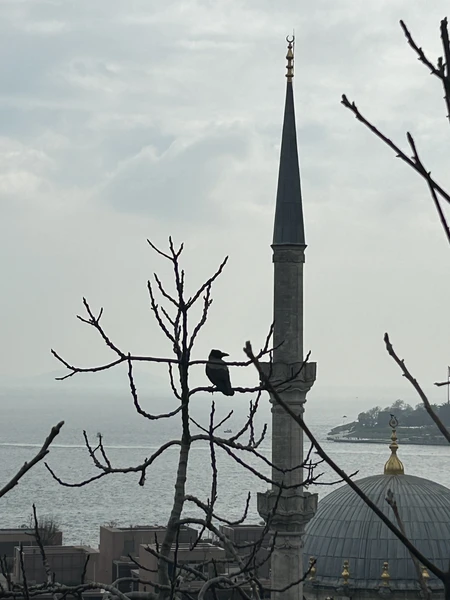 прекрасная прогулка с интерересным интеллигентным гидом! мы никогда бы не самостоятельно ‘забрели’ в такие места). узнали