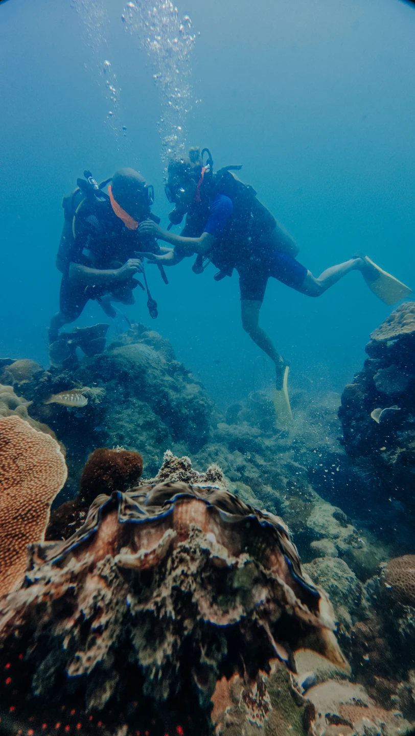 Доброго дня всем!! Выбрали дайвинг на Фукуоке с Евгением и не ошиблись,, остались в полном восторге!