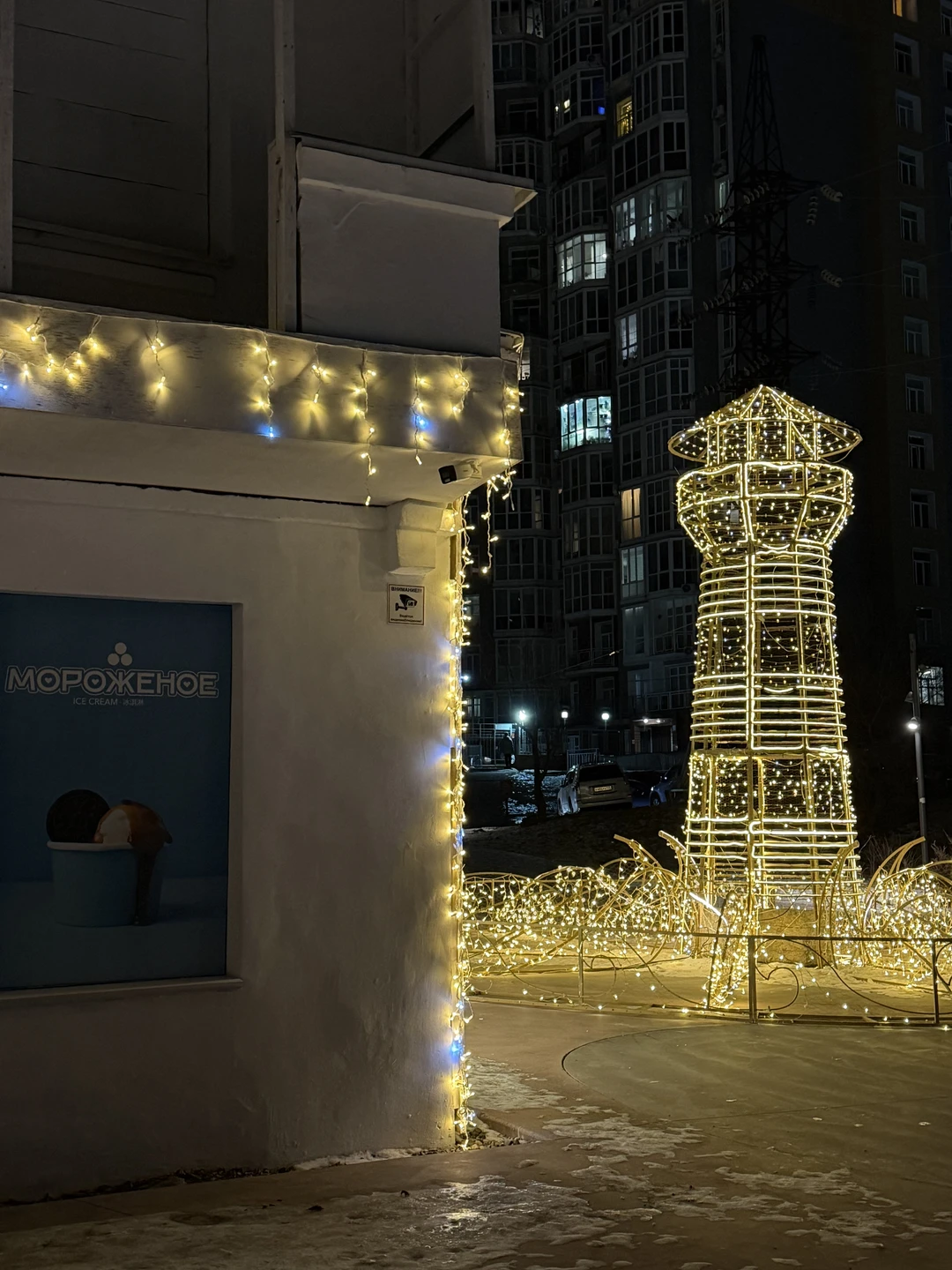 Ночные огни Владивостока (в группе) (Мария)