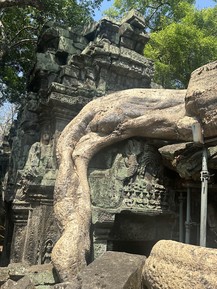 Фото отзыва 3: экскурсия "Сокровища Ангкора"