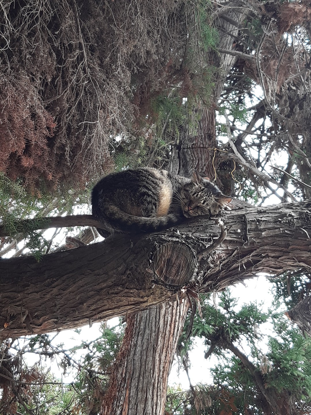 Замечательную экскурсию по городу со мной провел Сергей, благодарю! Не торопясь, мы прошли весь город в