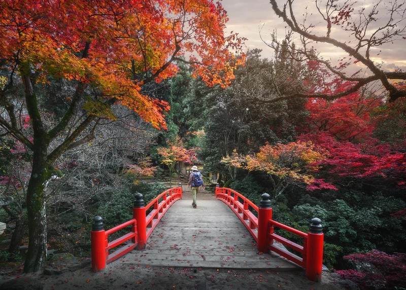 Япония в алом пламени листвы: большое осеннее путешествие в сезон момидзи - Фото 6