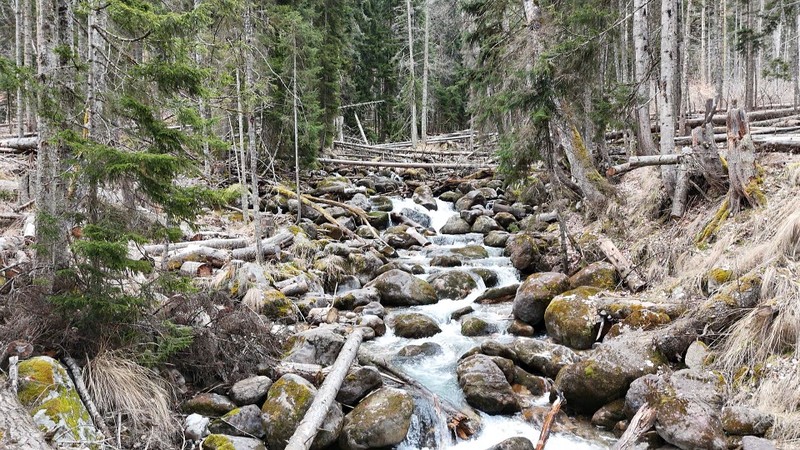 Прекрасная экскурсия, отличный гид, останавливался по запросу, не торопил