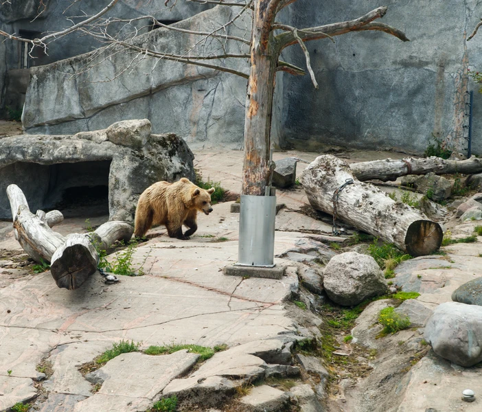 Зоопарк «Коркеасаари»