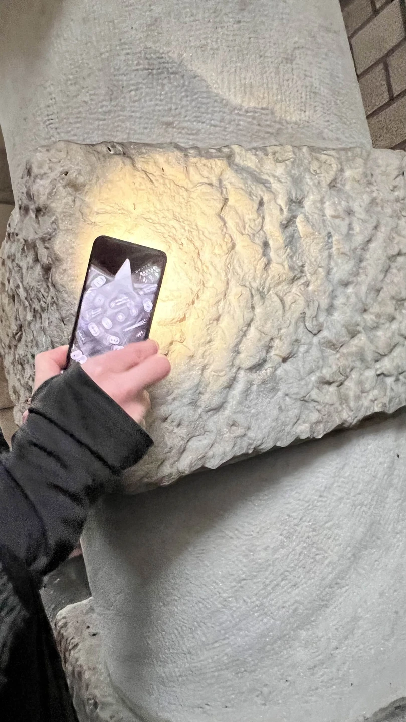 Секреты и лабиринты Петроградской стороны: дворы, парадные, легенды (Екатерина)