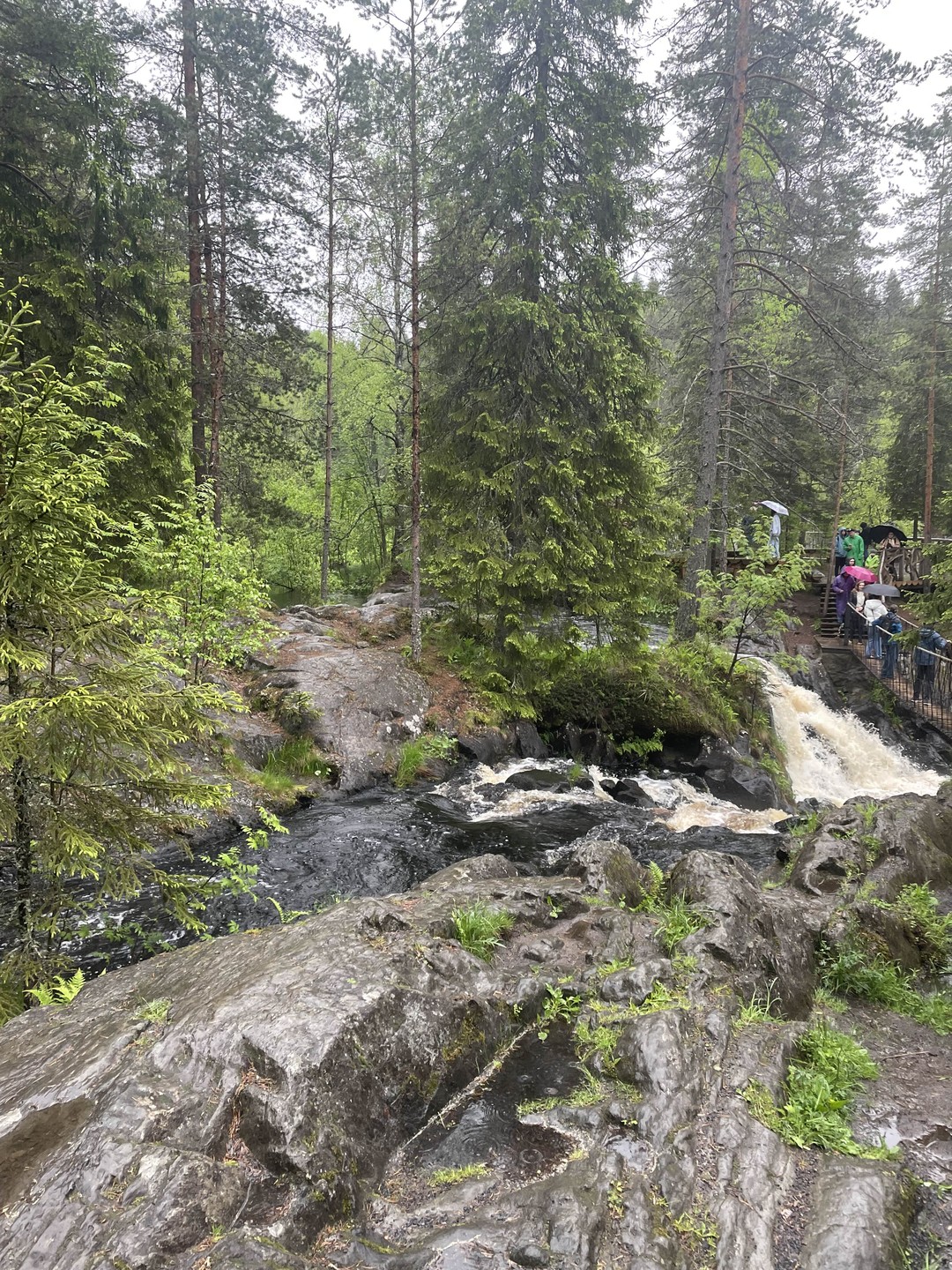 Лучшие места Карелии за 1 день: автобусная экскурсия из Санкт-Петербурга (Юлия)