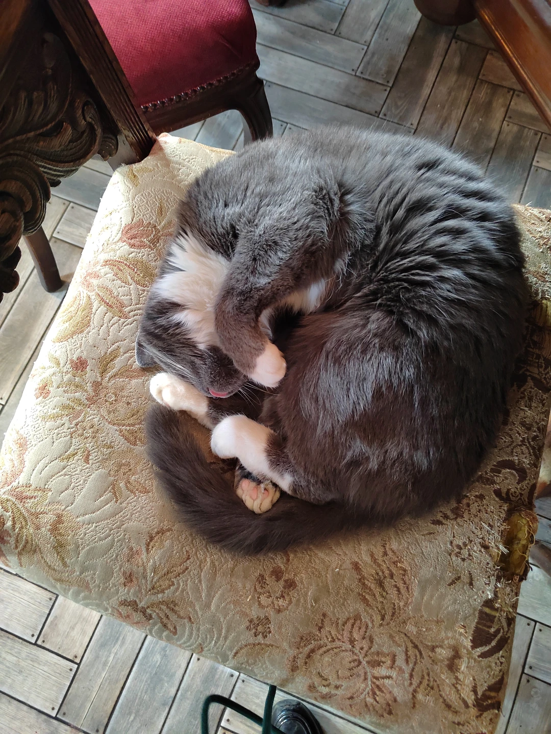 Тайны Суздаля для детей и взрослых (Николь)