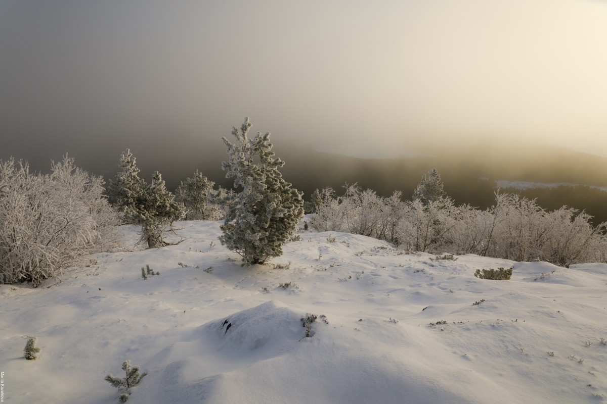 Зимний поход на гору Волосяная: снежные приключения в Кандалакше (8/8)