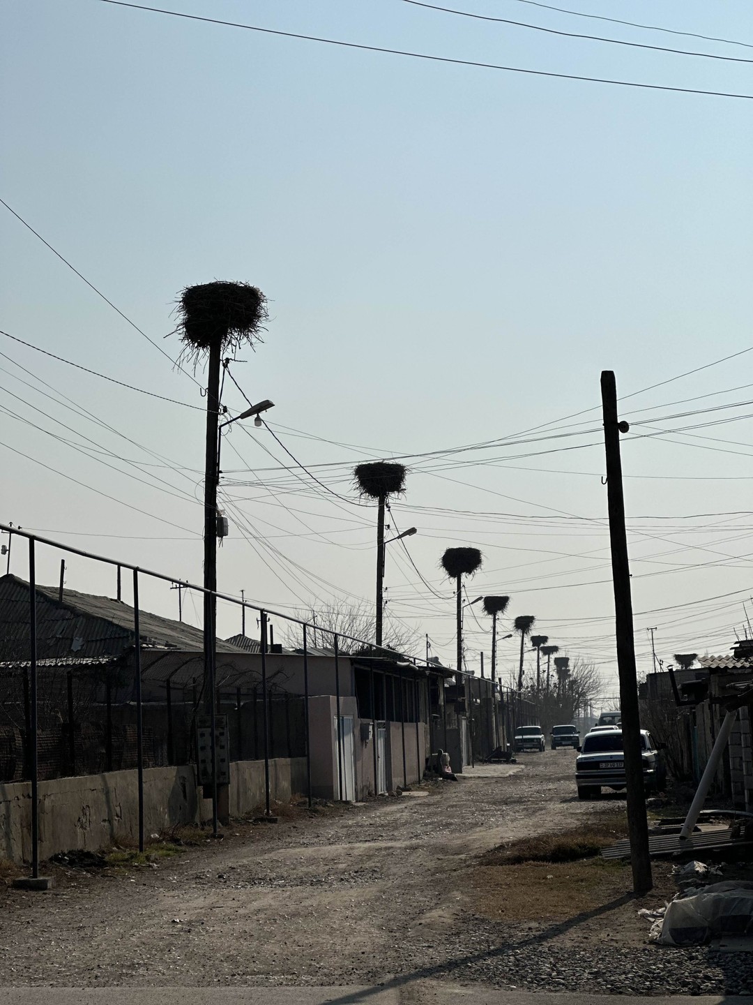 Арарат, Арени и Нораванк - дороги, пропитанные солнцем (Арина)