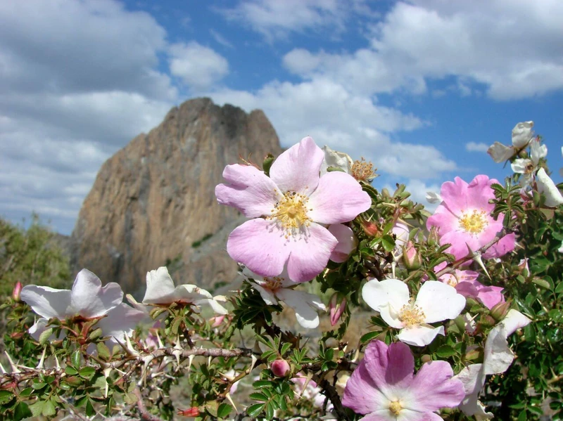 Успеть всё за 10 дней: 3 города, озеро Айдаркуль, высокогорные селения и кулинарные мастер-классы
