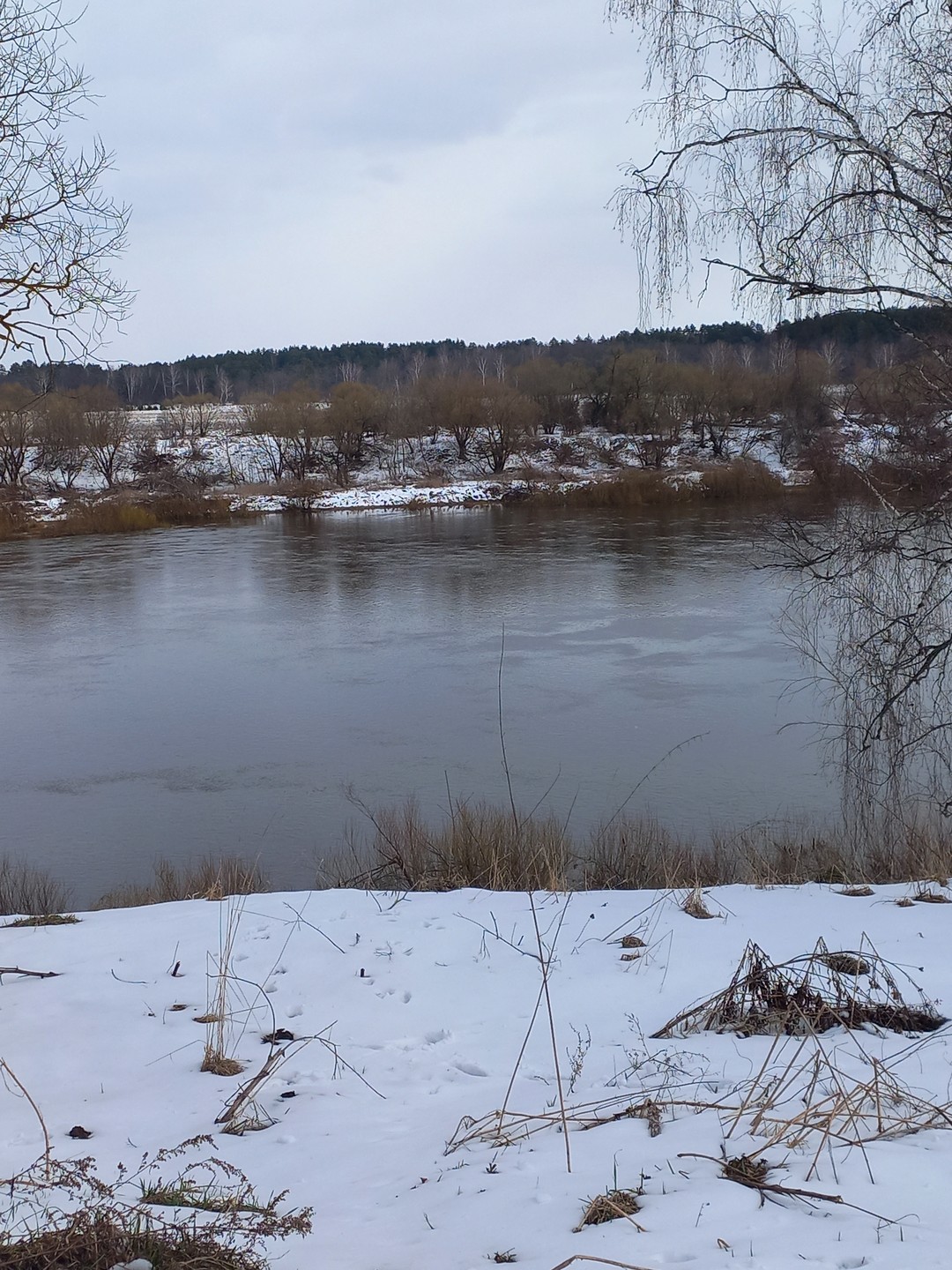 Слышали про Тарусу давно, а приехали только сейчас (каникулы в школе) Как много прекрасного и удивительно