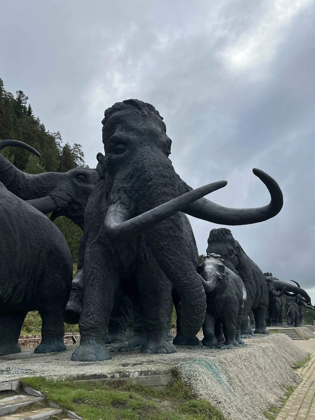 Супер команда! Экскурсия прошло превосходно