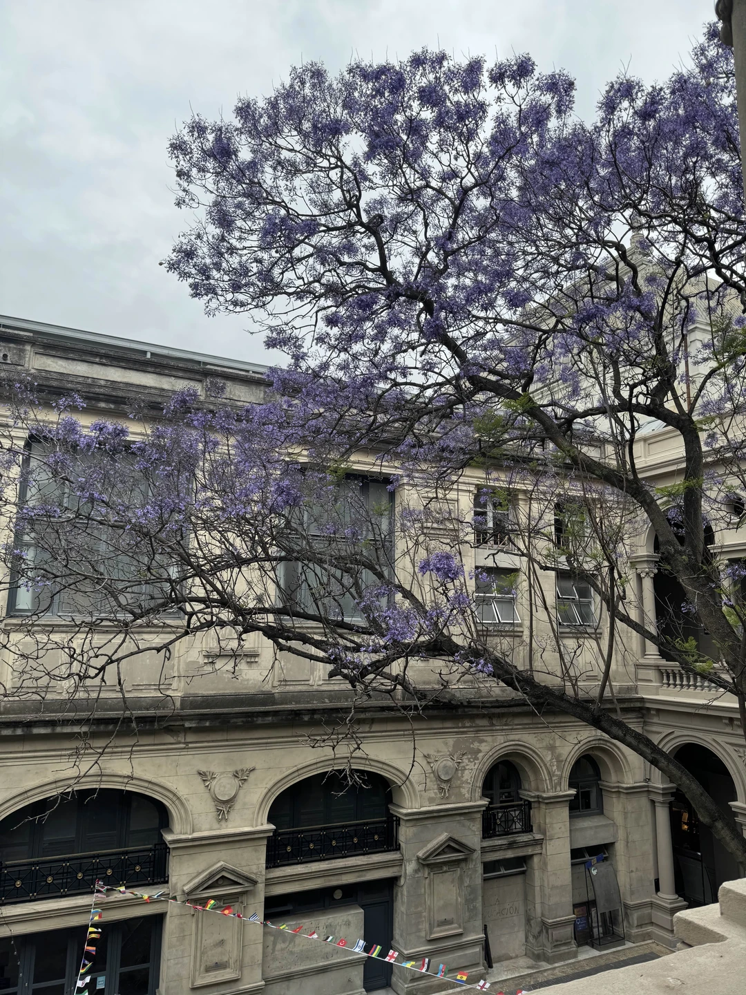 Мы приехали в Монтевидео и забронировали экскурсию, чтобы осмотреть город с разных сторон. Отличным выбором стал