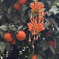 Фото отзыва 3: экскурсия "Красавица Севилья"