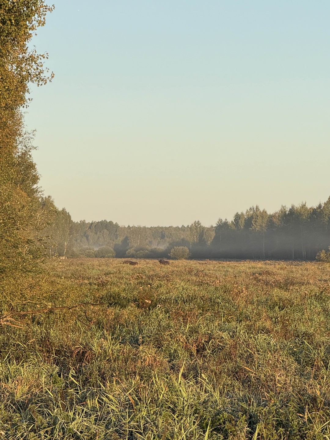 Данной экскурсией остались довольны! С непривычки так рано вставать было непросто, но это того однозначно стоило