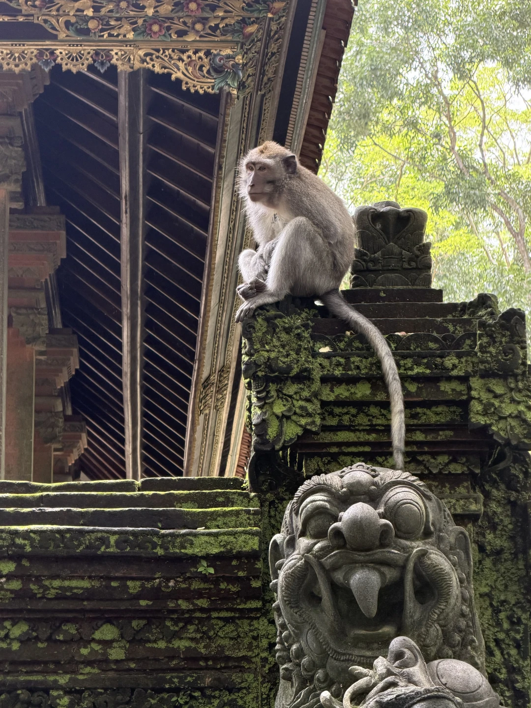 У нас был гид Вин, очень хорошо говорящий по русски! Все было супер! Экскурсия была организованна
