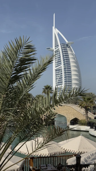 Безопасность, комфорт, знания, восторг. У меня было всего два дня в ОАЭ, рискнула на один день