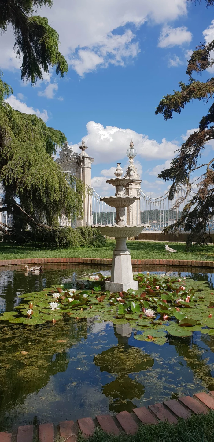 Большая обзорная экскурсия-бестселлер по Стамбулу (Вера)